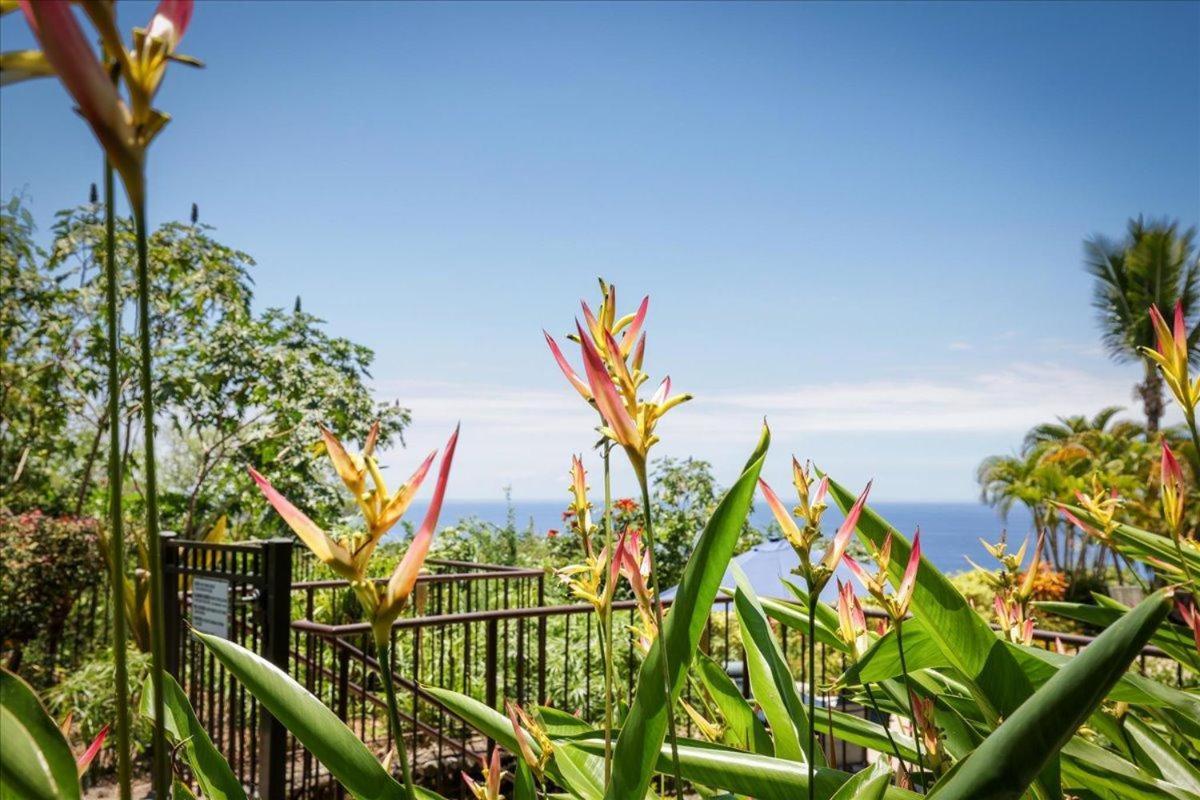 Вілла Kona Westwind 1 New! Quiet Ocean-View 1St Floor | Patio | Pool Кайлуа-Кона Екстер'єр фото