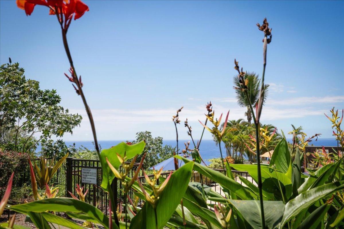 Вілла Kona Westwind 1 New! Quiet Ocean-View 1St Floor | Patio | Pool Кайлуа-Кона Екстер'єр фото